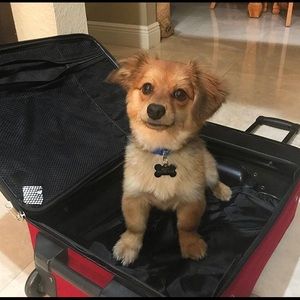 Meet your Posher, Ben